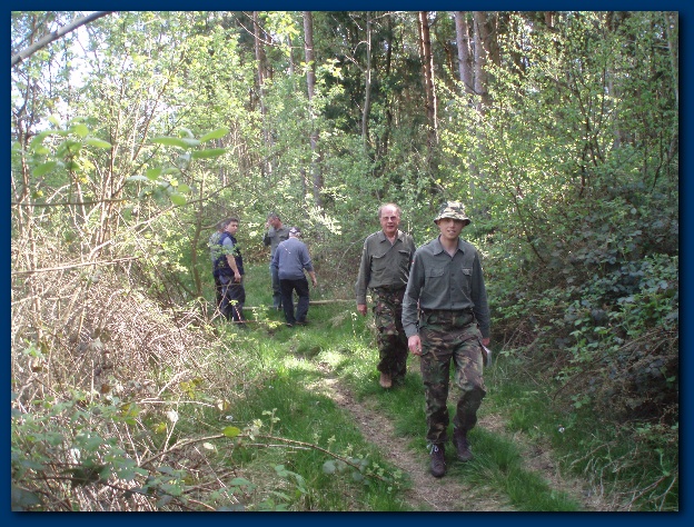 600x449 pixels (213K)